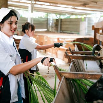 Employee Volunteering MIND ID Hadirkan Ekosistem Ekonomi Sirkular Bagi Desa Ciderum