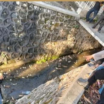 Jasad Laki-laki Ditemukan Mengambang di Selokan Gegerkan Warga Gresik