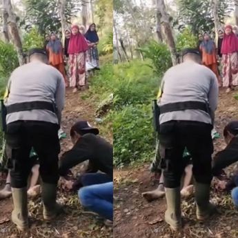 Nahas! Pria di Sukabumi Tewas Dipatok Ular Kobra