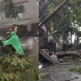 Hujan Deras Disertai Angin Kencang Terjang Tangsel, Pohon Tumbang Timpa Mobil dan Rumah Warga
