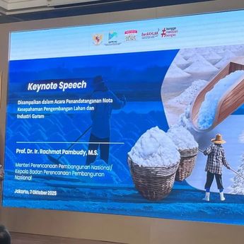 Pemerintah Siapkan Pendirian Institut Garam Nasional untuk Dorong Swasembada