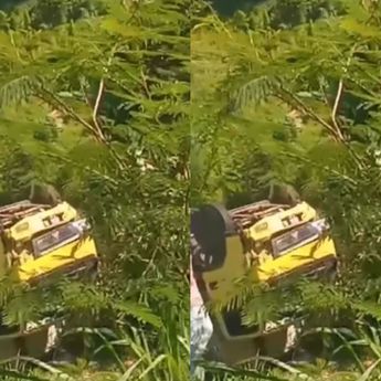 Truk Box Terjun ke Jurang di Bandung Barat, Sopir Belum Ditemukan