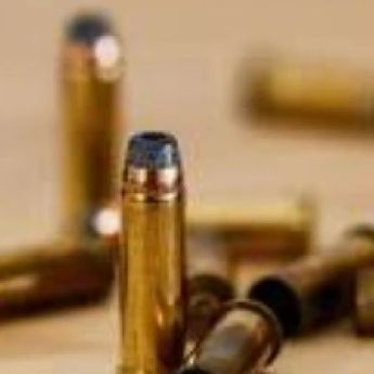 14 Anggota KKB Tewas dalam Kontak Tembak di Homeyo, Intan Jaya