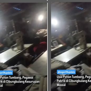 Merinding! Puluhan Karyawan Pabrik Kesurupan Massal Usai Pohon Besar Tumbang
