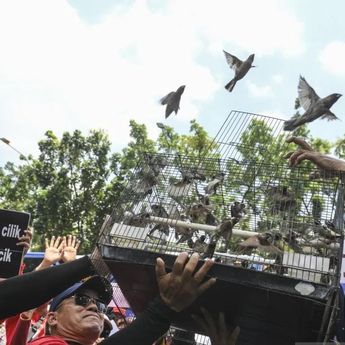 Pemprov DKI Ungkap Penyalahgunaan Izin Sewa Kios di Pasar Barito
