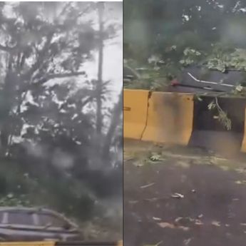 Pohon Tumbang Timpa Kendaraan di Tol Halim, Hujan Deras Landa Jakarta