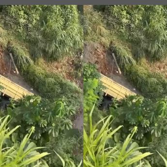 Truk Pasir Terjun dari Jembatan Cisauk, Sopir Belum Ditemukan