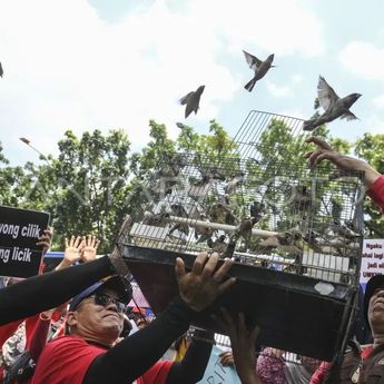 Sentra Fauna Lenteng Agung Siap Ditempati Eks Pedagang Pasar Barito