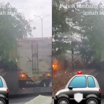 Pohon Tumbang di Jalan Pantura Cikarang Sebabkan Kemacetan Panjang