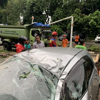 Mobil Kontraktor Ringsek Tertimpa Pohon di Halaman Kantor Wali Kota Jakarta Utara
