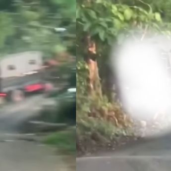 Mobil Dalmas SMP IT Wahdah Islamiyah Gowa Alami Kecelakaan Maut