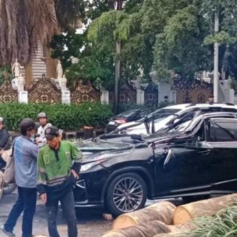 Polisi Beberkan Kronologi Tewasnya Pengemudi Lexus Tertimpa Pohon di Pondok Indah