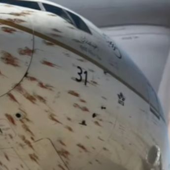 Detik-Detik Ratusan Burung Tabrak Pesawat Saudi Arabian Airlines, Penerbangan Terpaksa Dibatalkan