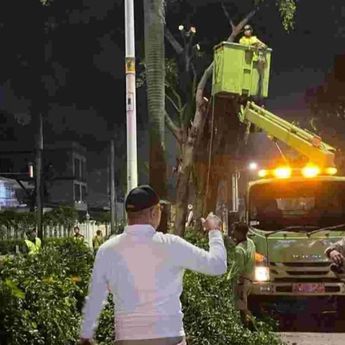 Pemprov DKI Remajakan Pohon di Pondok Indah Demi Keselamatan Warga
