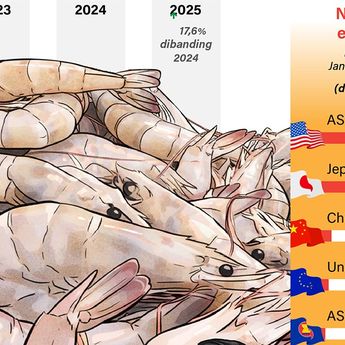 Infografik: Ekspor Udang Indonesia ke AS Usai Kontaminasi Radioaktif