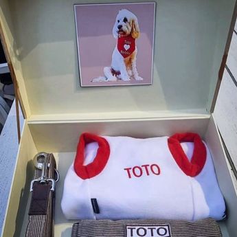 Prabowo Beri Kado ke Anjing Peliharan PM Albanese, Bobby Kertanegara dan Toto Jadi Simbol Persahabatan Indonesia-Australia