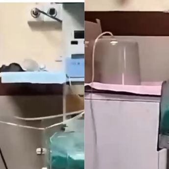 Viral Tikus Berkeliaran di Ruang NICU Rumah Sakit, 2 Bayi Meninggal Dunia Gegara Digigit