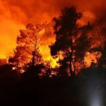 Kebakaran Hutan Meluas di Asutralia, Lebih dari 16 Rumah Hangus