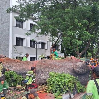 TransJakarta Tambah Armada Untuk Bantu Mobilitas Akibat Gangguan MRT Jakarta