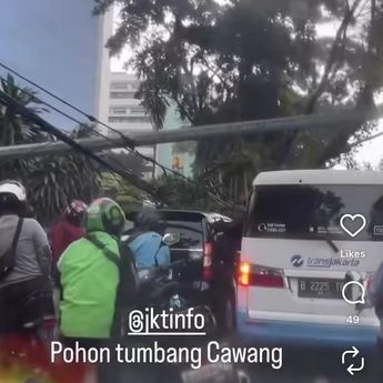 Hujan Angin, Pohon Tumbang di DI Panjaitan Cawang Bikin Macet