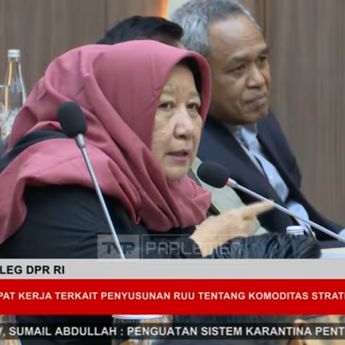 Anggota DPR Ini Usul Ganja Dilegalkan
