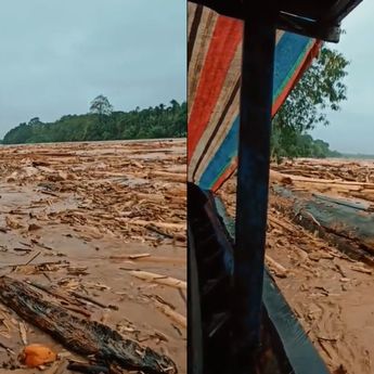 Walhi Sumut Sebut 7 Perusahaan Biang Kerok Bencana Ekologis Di Tapanuli