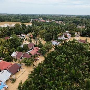 Aksi Dramatis Tim SAR Evakuasi Warga di Banjir Bireuen yang Naik Pohon Kelapa