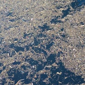 Bareskrim Mulai Usut Asal Kayu Gelondongan yang Terbawa Banjir di Sumatera