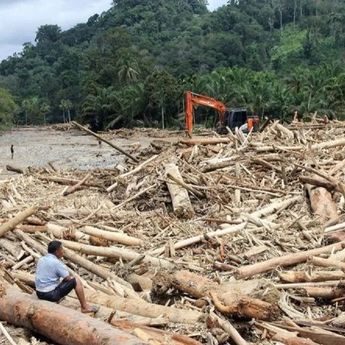 Walhi Bongkar Sumber Bencana di Sumatera yang Tewaskan 604 Orang