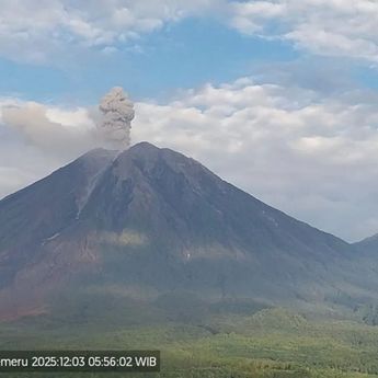 Gunung Semeru Alami 16 Erupsi, Letusan Tertinggi Mencapai 1.100 Meter