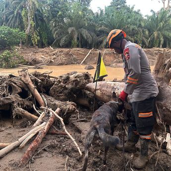 Tim K9 Ditpolsatwa Baharkam Polri Bantu Pencarian Korban Bencana di Bantaran Sungai Huta Raja