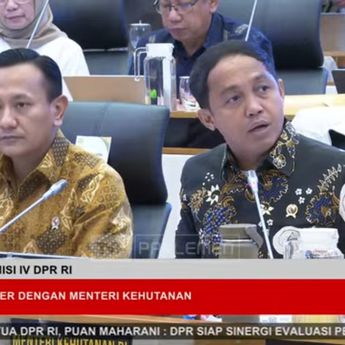 Tinggal Tunggu Restu Prabowo, Menhut Bakal Cabut Izin 20 Perusahaan Pengelola Hutan