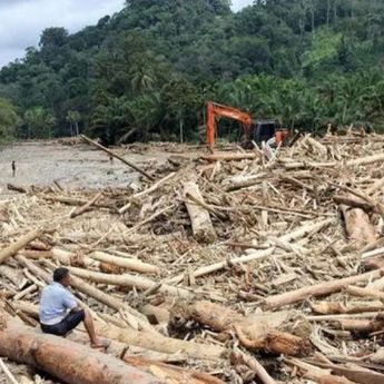 Walhi: Pemulihan Sumatra Tak Boleh Berhenti di Pencabutan Izin 28 Perusahaan