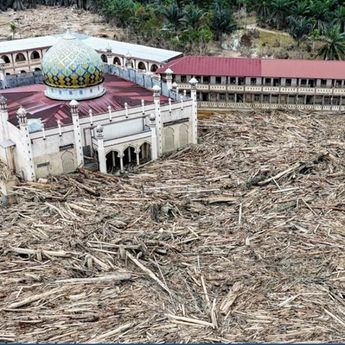 Bencana Sumatera, Menteri LH Setop Operasional 4 Perusahaan di Batang Toru