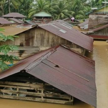 Cek Fakta: Video Sapi di Atas Atap Rumah Karena Banjir