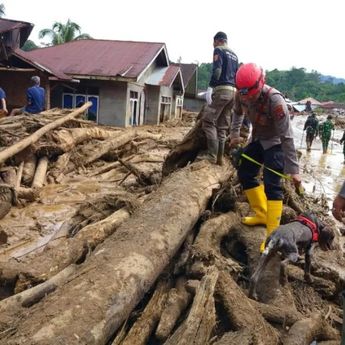 BPBD Agam: Jumlah Korban Meninggal Dunia Meningkat Jadi 186 Orang