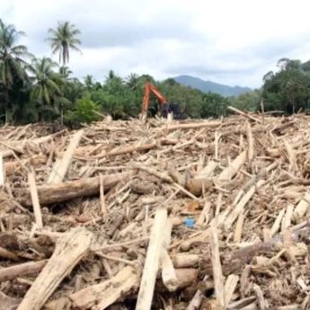 Bareskrim Tingkatkan Penanganan Kasus Kayu Terseret Banjir di Sumut ke Tahap Penyidikan