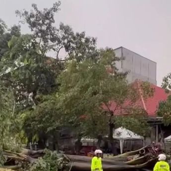 Sejumlah Rute Mikrotrans dan Transjakarta Dialihkan Akibat Banjir dan Pohon Tumbang