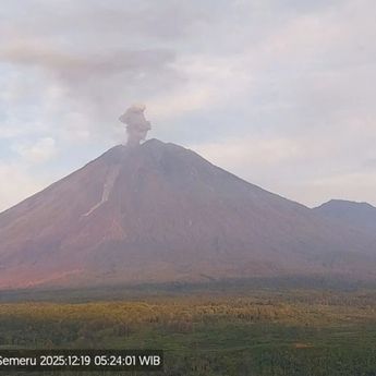 Gunung Semeru Erupsi 11 Kali, Tinggi Letusan Capai 1 Kilometer