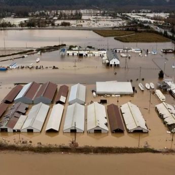 Banjir Parah Landa WashingtonAS, Dua Orang Tewas dan Puluhan Ribu Warga Terdampak