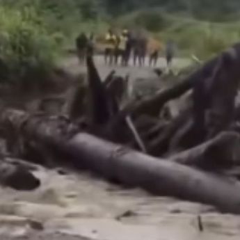 Papua Dilanda &ldquo;Banjir Kayu&rdquo; Mirip Sumatra, Jembatan Putus dan Aktivitas Warga Lumpuh
