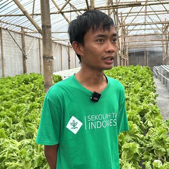 Petani Milenial Syukuri Peluang Jadi Pemasok Sayuran Program MBG