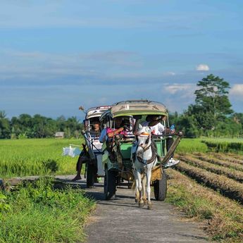 Percepat Kesejahteraan Masyarakat Papua Pemerintah Cetak 2000 hektar Sawah 