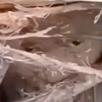 Viral Anak Ini Selamat Ditemukan Terkubur Kayu dan Lumpur saat Banjir Sumatera