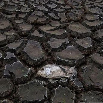 Iran Hadapi Krisis Air Akibat Kekeringan Parah