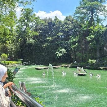 Ragunan Perpanjang Jam Kunjungan Selama Libur Natal dan Tahun Baru