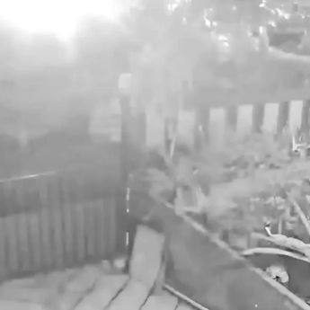 Dentuman dan Kilatan Cahaya di Cianjur Diduga Fenomena Atmosfer dan Geofisika