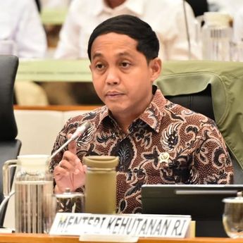 Menhut Tegaskan Pemanfaatan Kayu Hanyut Pascabanjir untuk Masyarakat, Bukan Komersial