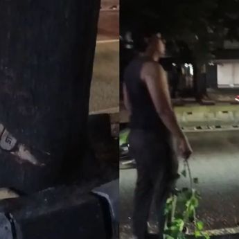 Penebangan Pohon Ilegal di Kebayoran Lama Diduga Libatkan Oknum ASN