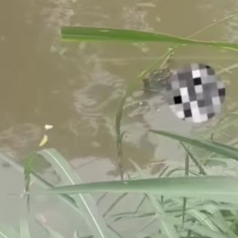 Mayat Mengambang di Kali Gegerkan Warga Lenteng Agung